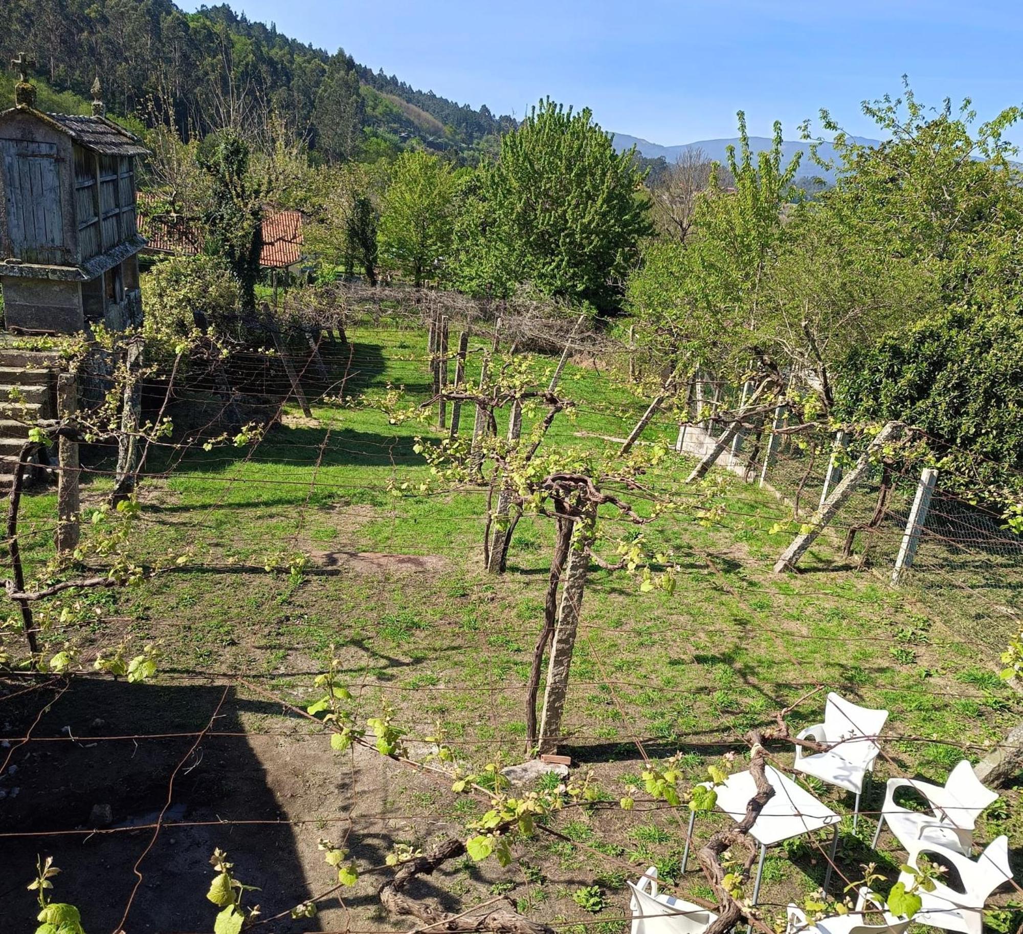 Pension Rural Para Peregrinos "Areal" Padrón Dış mekan fotoğraf